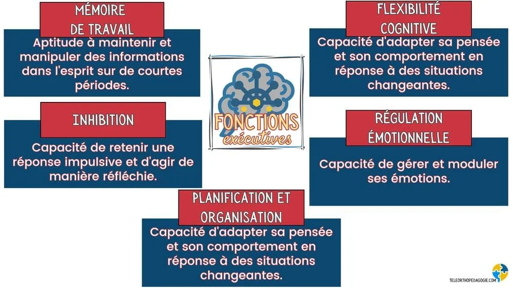 Fonctions exécutives : mémoire de travail - flexibilité cognitive - inhibition - régulation émotionnelle - planification et organisation